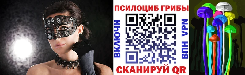 Галлюциногенные грибы Magic Shrooms  где найти наркотики  Южно-Сухокумск 